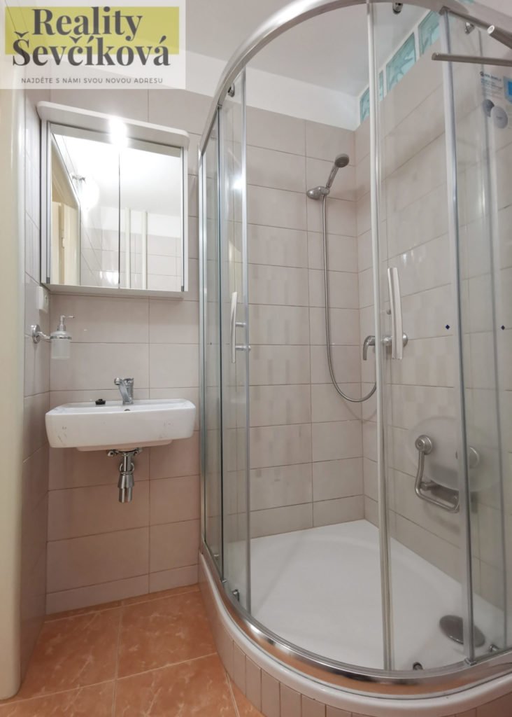 Pronájem 1+kk s lodžií, 35 m2 – Prodloužená, Pardubice