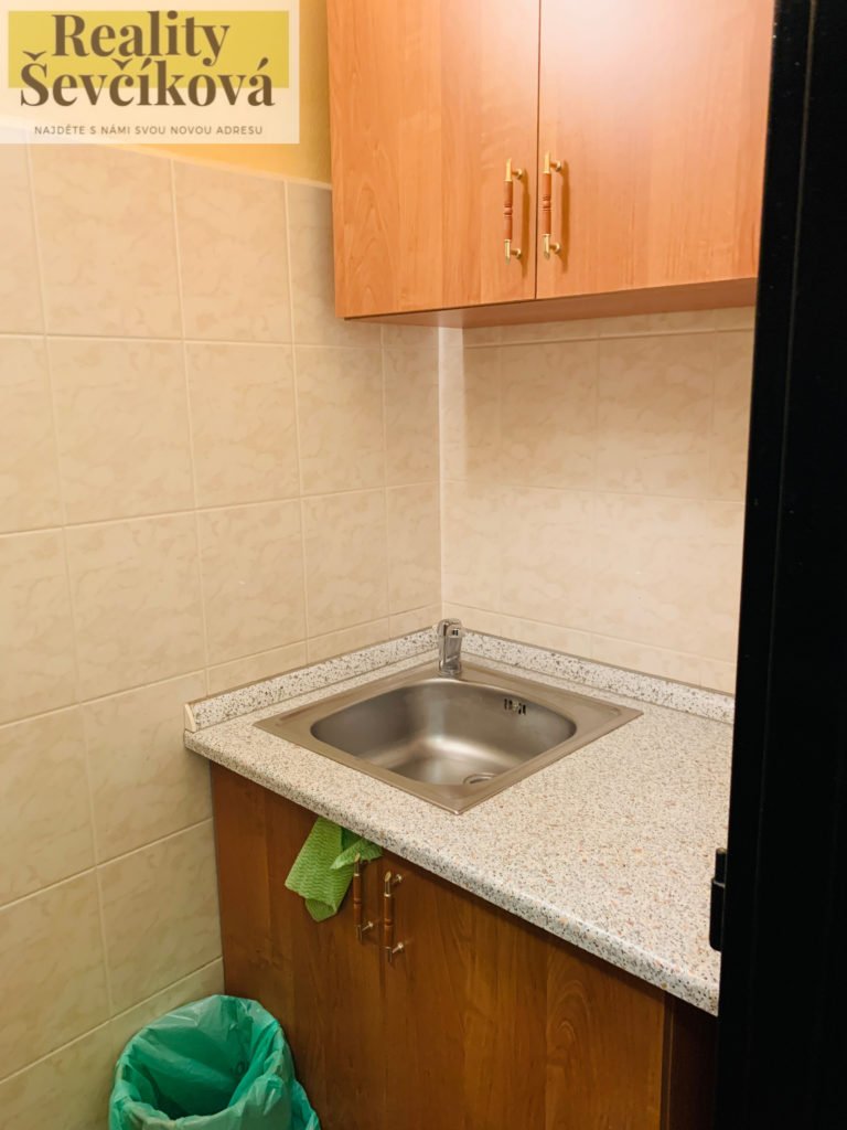 Pronájem kanceláře 28 m2 – Škroupova