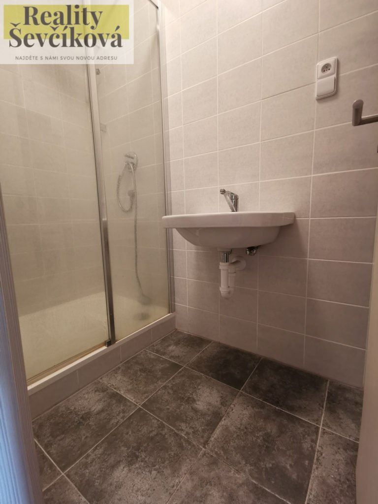 Pronájem zařízeného 1+1 po rekonstrukci, 40 m2 – Habrmanova