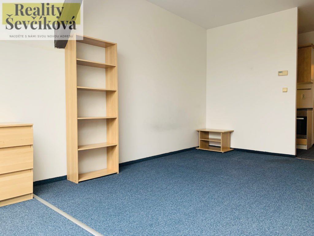 Pronájem prostorného 1+kk, 40 m2 – Eliščino nábřeží