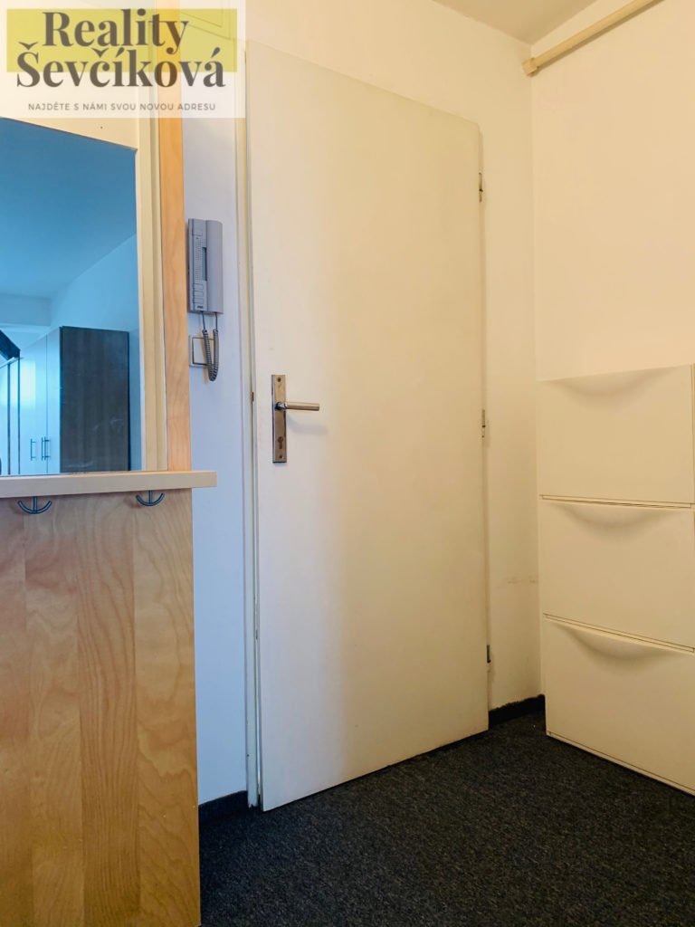 Pronájem prostorného 1+kk, 40 m2 – Eliščino nábřeží