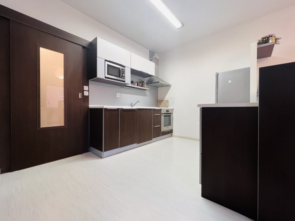 Pronájem velkorysého 1+kk včetně zařízení, 46 m2 – Labská louka