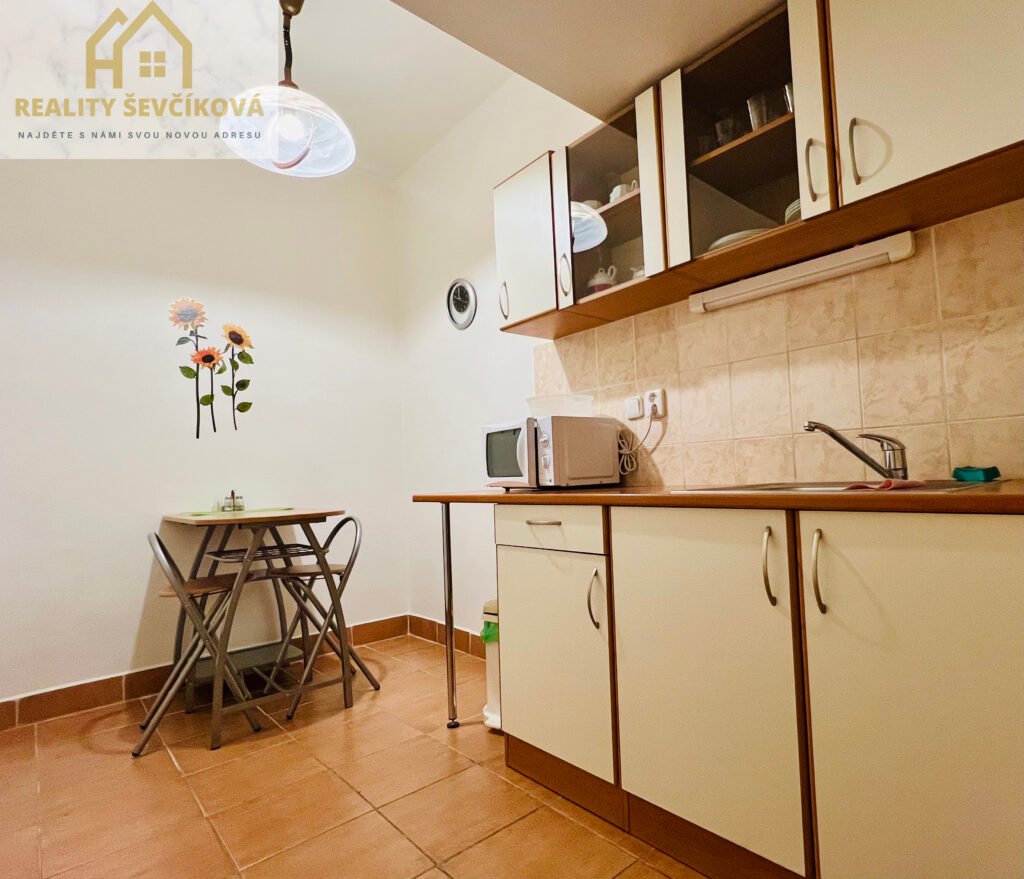 Pronájem kanceláře, 28 m2 – Podnikatelské centrum, ul. Bieblova