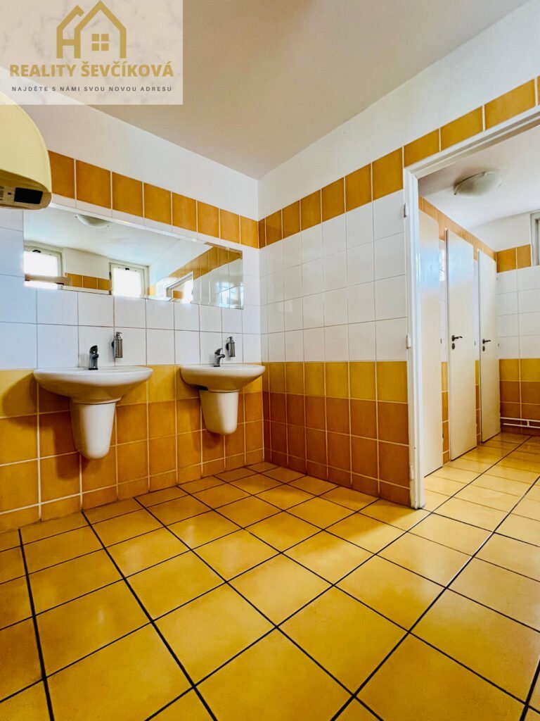 Pronájem kanceláře, 28 m2 – Podnikatelské centrum, ul. Bieblova