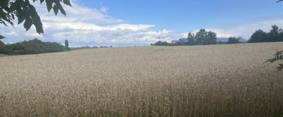 Prodej stavebního pozemku