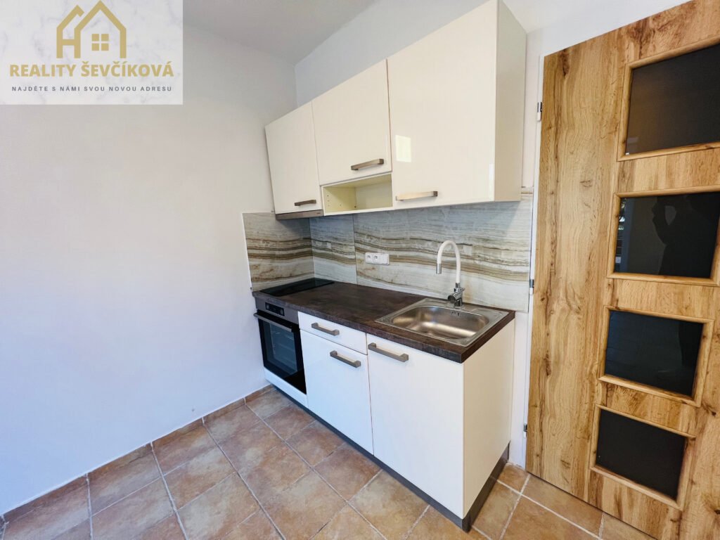 Pronájem 1+kk s terasou, zahrádkou a parkováním – Smetanovo nábřeží