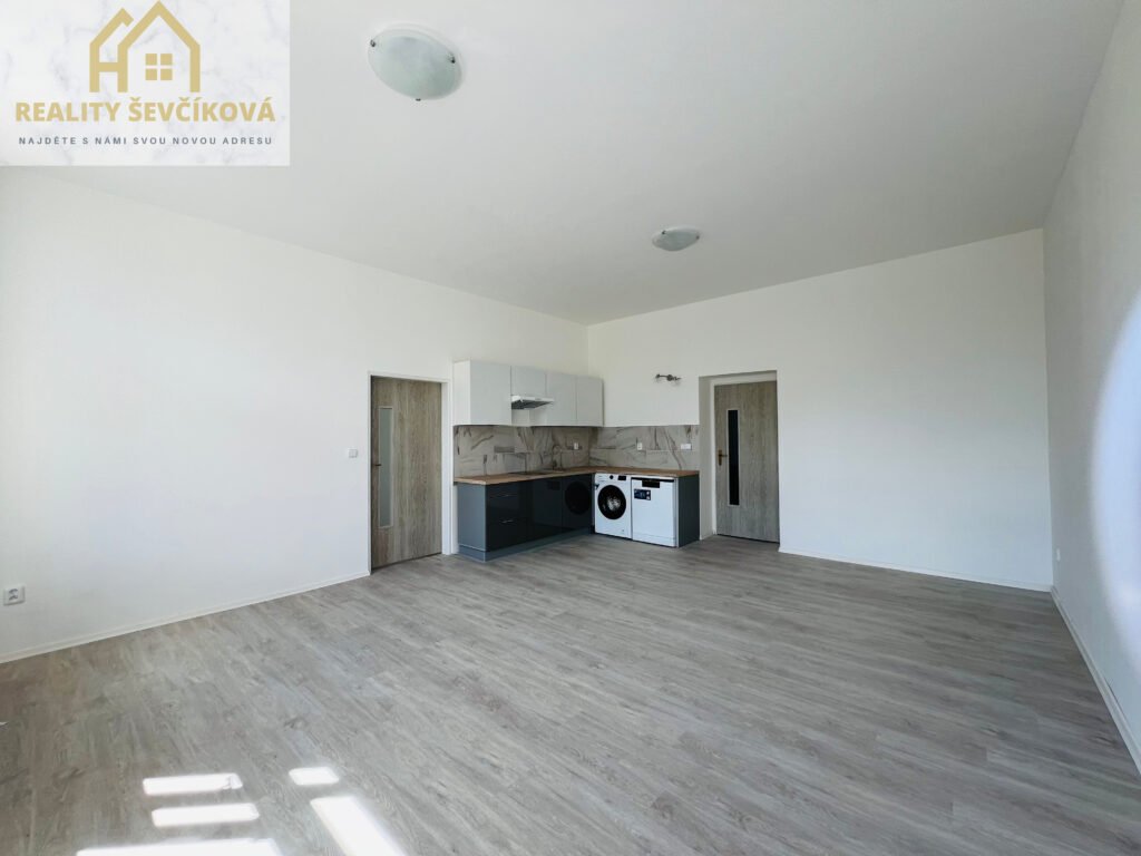 Pronájem 3+kk po celkové rekonstrukci, 65 m2 – Tylovo nábřeží