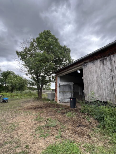 Pronájem bývalého ovčína, 580 m2 a přilehlých pozemků cca 4 000 m2 – Vrbice (okr. Jičín)