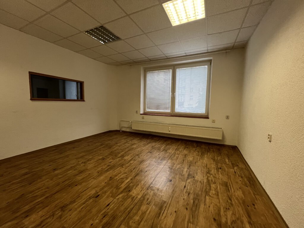 Pronájem atypického 2+kk, 113 m2 – Škroupova