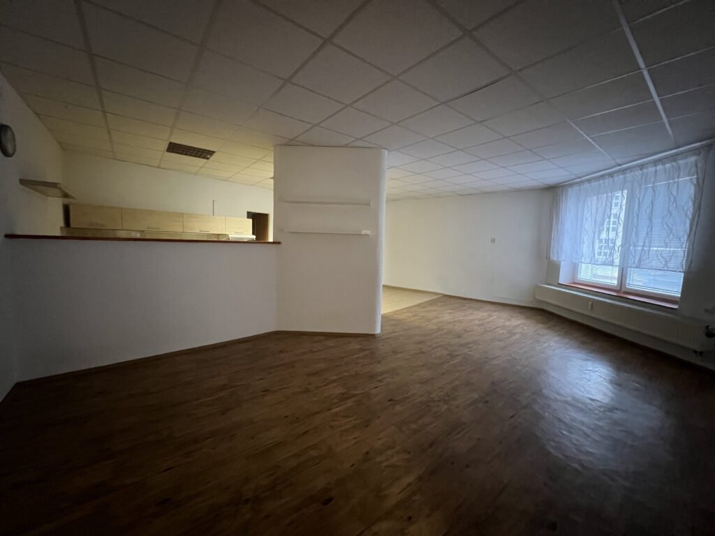 Pronájem atypického 2+kk, 113 m2 – Škroupova