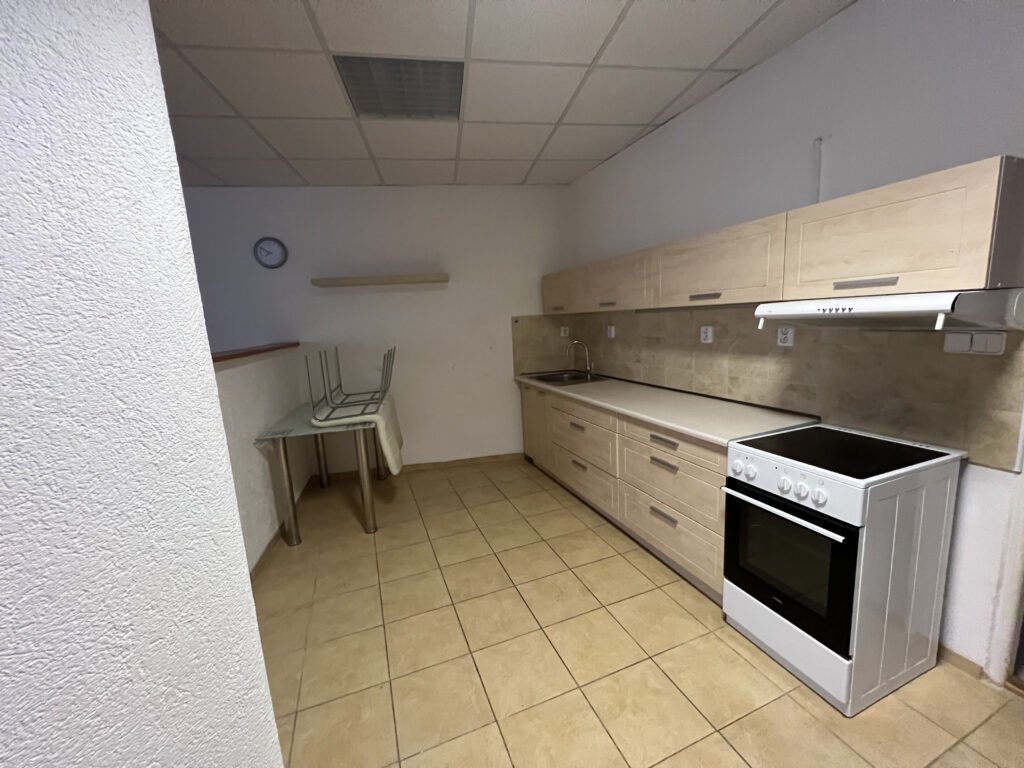 Pronájem atypického 2+kk, 113 m2 – Škroupova