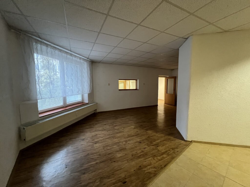 Pronájem atypického 2+kk, 113 m2 – Škroupova