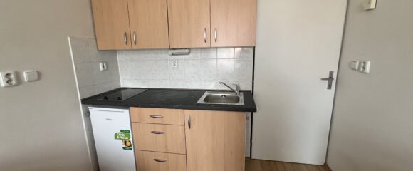 Pronájem vybaveného bytu 1+kk, 20 m² – Dukelská třída, Hradec Králové