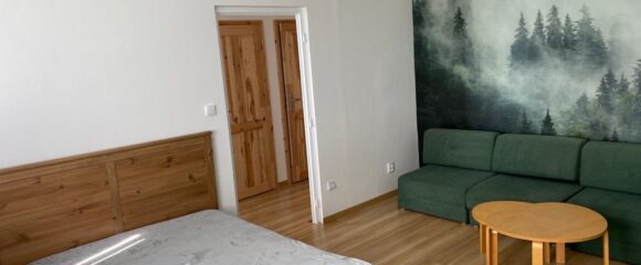 Útulný byt s dobrou občanskou vybaveností