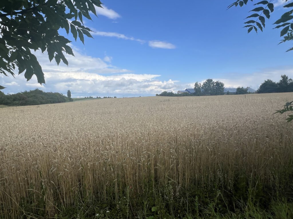 Rovinatý stavební pozemek